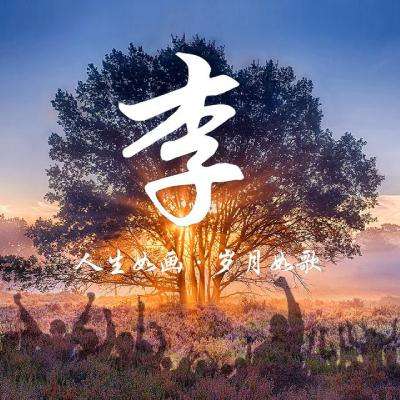 苍穹传世单职业版