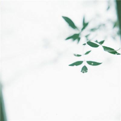 4399迷雾求生手游下载
